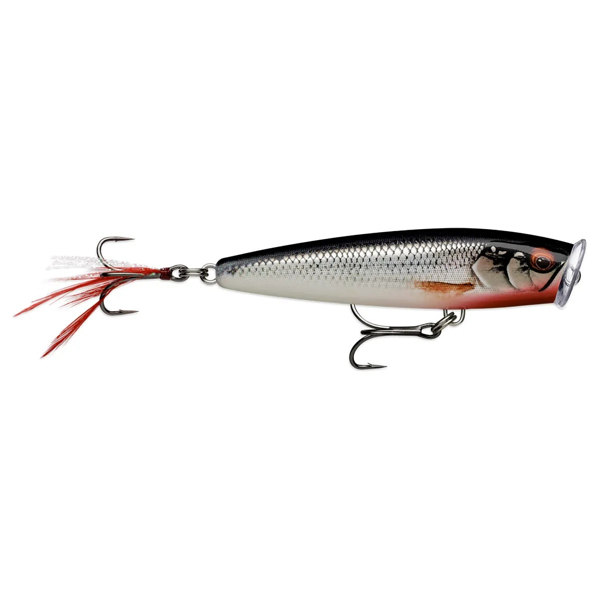 Isca Artificial Rapala Skitter Pop Elite Superfície - Imagem 10