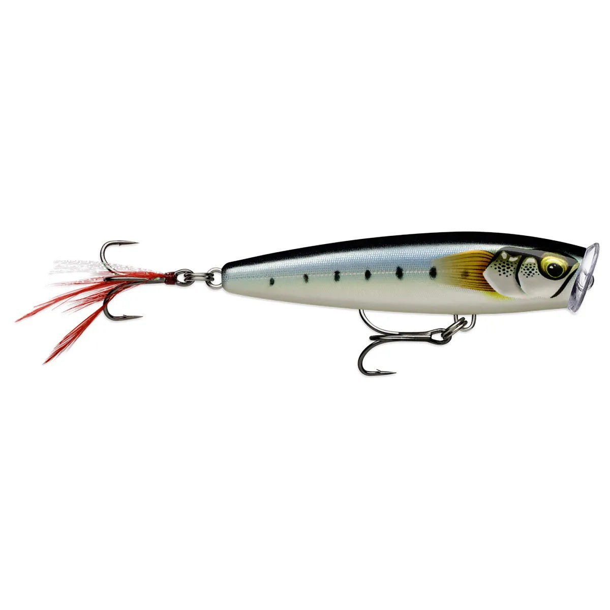 Isca Artificial Rapala Skitter Pop Elite Superfície - Imagem 6