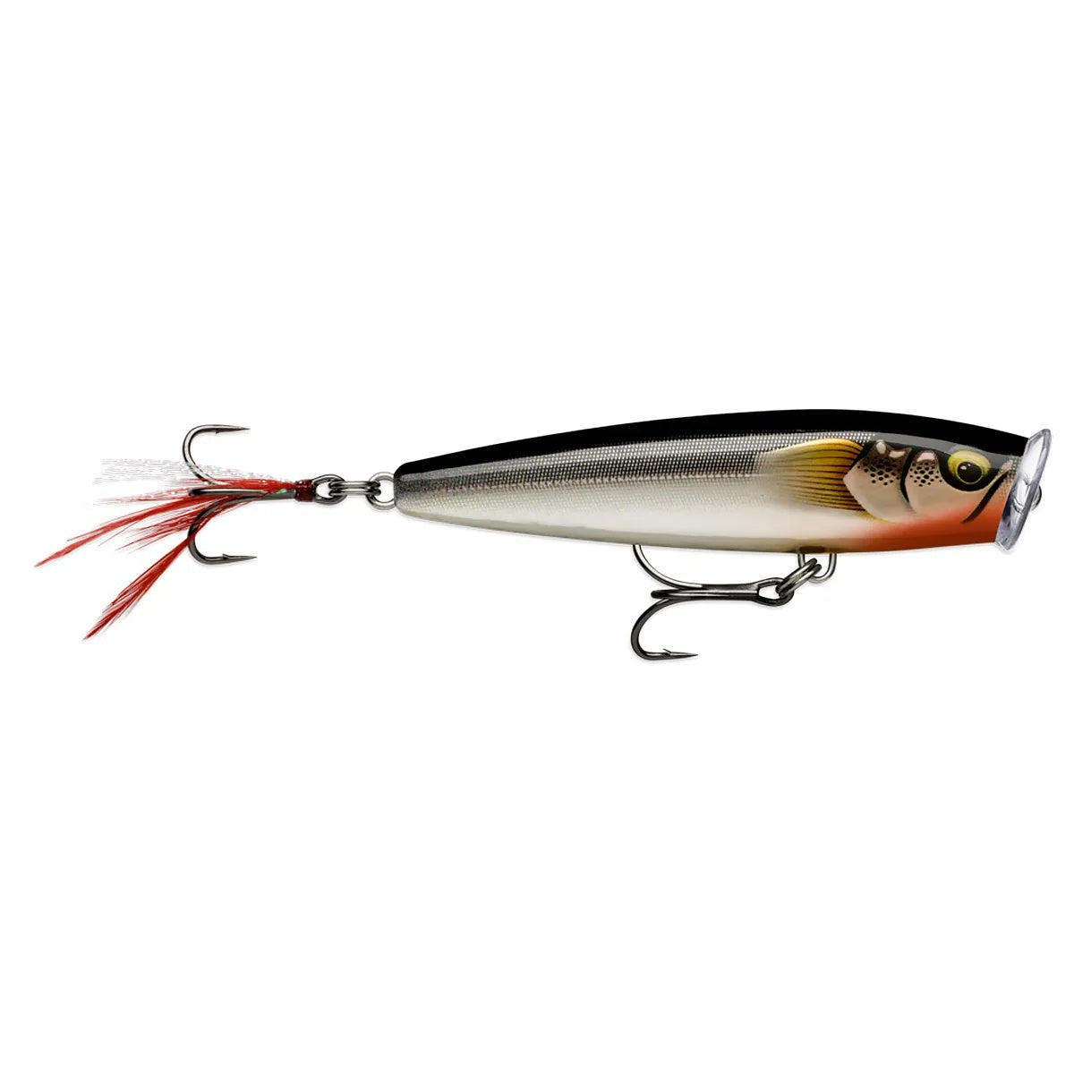 Isca Artificial Rapala Skitter Pop Elite Superfície - Imagem 14